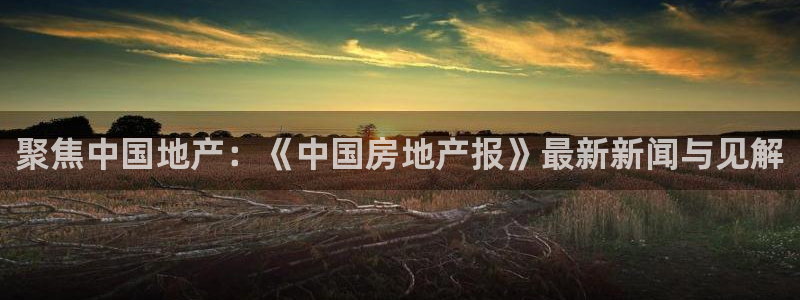 风暴娱乐派对：聚焦中国地产：《中国房地产报》最新新闻与见解