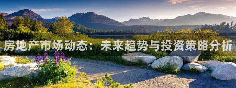 风暴娱乐求333OOc：房地产市场动态：未来趋势与投资策略分