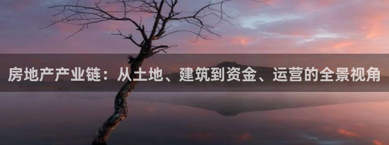 风暴娱乐 风暴注册平台：房地产产业链：从土地、建筑到资金、运