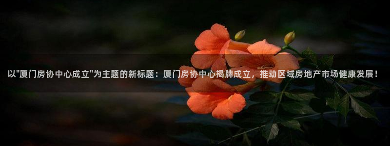 风暴娱乐厅：以\