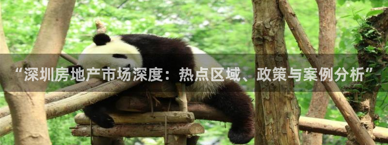 风暴娱乐 风暴注册平台：“深圳房地产市场深度：热点区域、政策