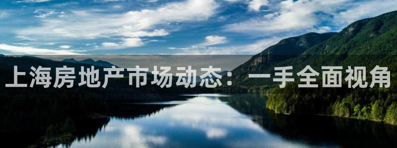 娱乐风暴港：上海房地产市场动态：一手全面视角