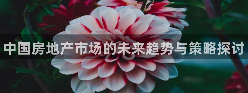 风暴娱乐去人l8888：中国房地产市场的未来趋势与策略探讨