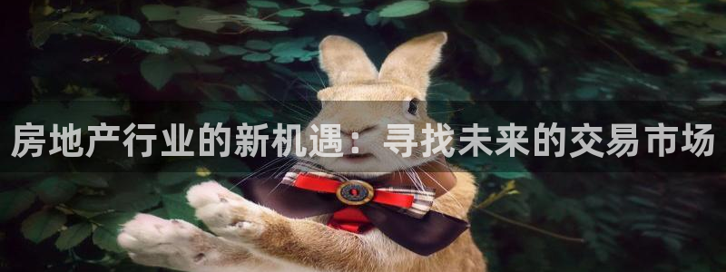 娱乐风暴2：房地产行业的新机遇：寻找未来的交易市场