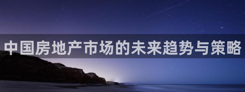 娱乐风暴2：中国房地产市场的未来趋势与策略