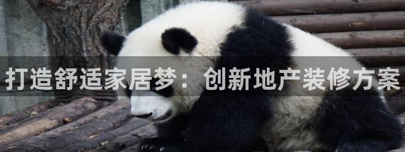 4120051风暴娱乐：打造舒适家居梦：创新地产装修方案