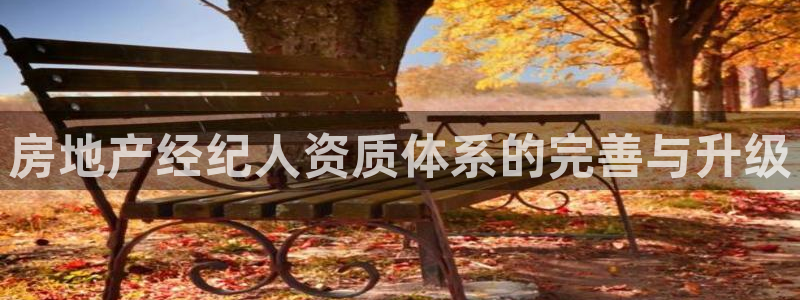 下载风暴娱乐：房地产经纪人资质体系的完善与升级