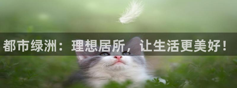 风暴平娱乐：都市绿洲：理想居所，让生活更美好！