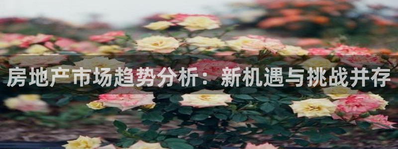 风暴娱乐提现：房地产市场趋势分析：新机遇与挑战并存