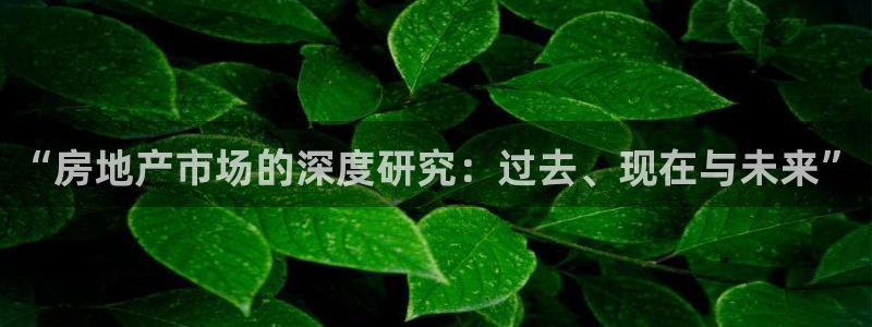 风暴娱乐园：“房地产市场的深度研究：过去、现在与未来”