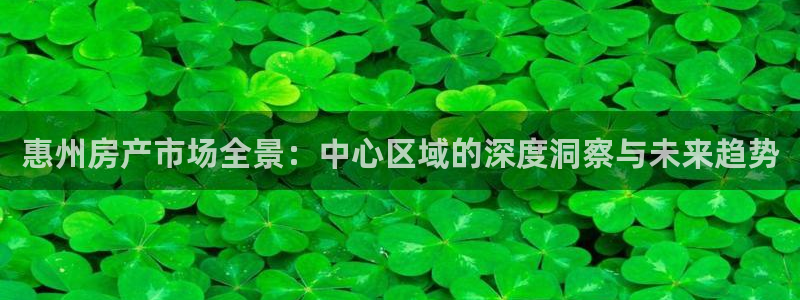 4120051风暴娱乐：惠州房产市场全景：中心区域的深度洞察