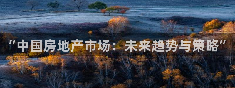 风暴娱乐主管是谁