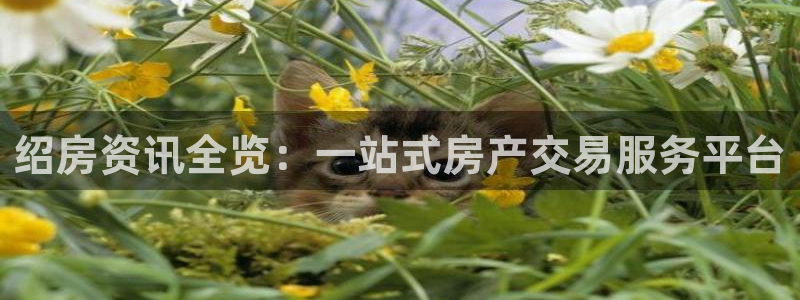 风暴娱乐客服：绍房资讯全览：一站式房产交易服务平台