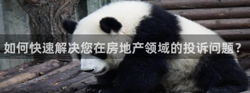 风暴娱乐登录网址：如何快速解决您在房地产领域的投诉问题？