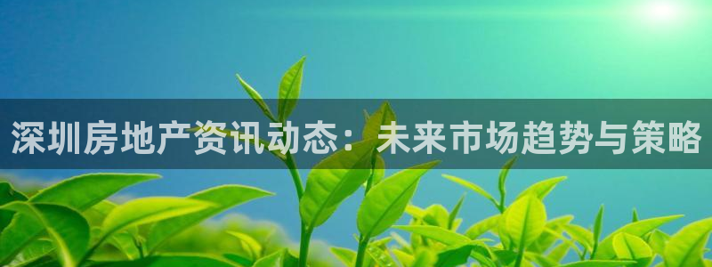 风暴娱乐 风暴注册平台：深圳房地产资讯动态：未来市场趋势与策