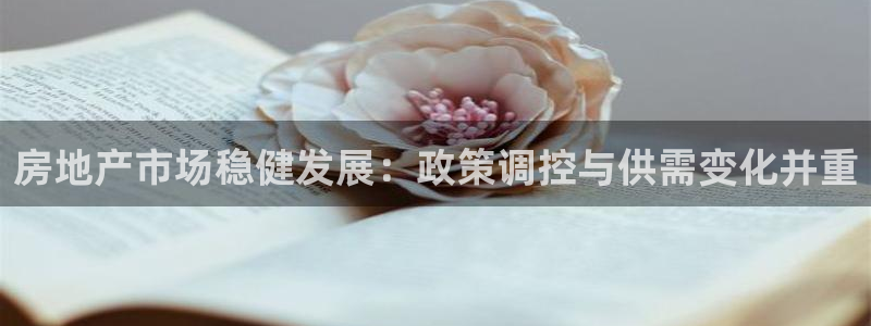风暴娱乐登录网址：房地产市场稳健发展：政策调控与供需变化并重