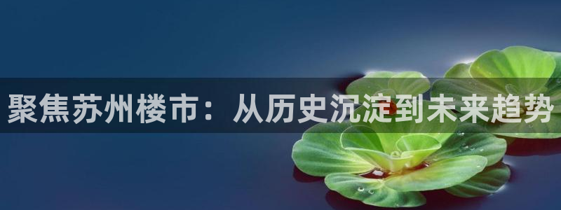 风暴娱乐自动挂：聚焦苏州楼市：从历史沉淀到未来趋势