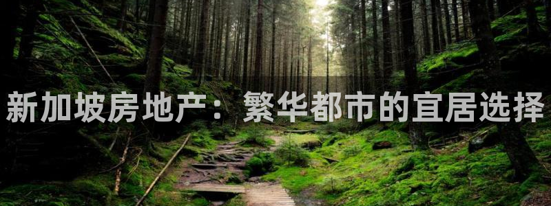 风暴娱乐记：新加坡房地产：繁华都市的宜居选择