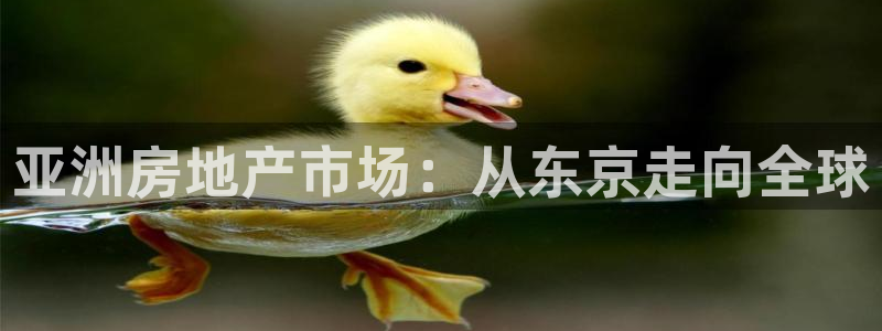 风暴娱乐平台地址：亚洲房地产市场：从东京走向全球