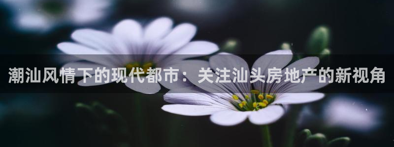 风暴娱乐上5指尖：潮汕风情下的现代都市：关注汕头房地产的新视
