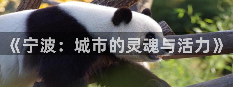 万万娱乐风暴：《宁波：城市的灵魂与活力》