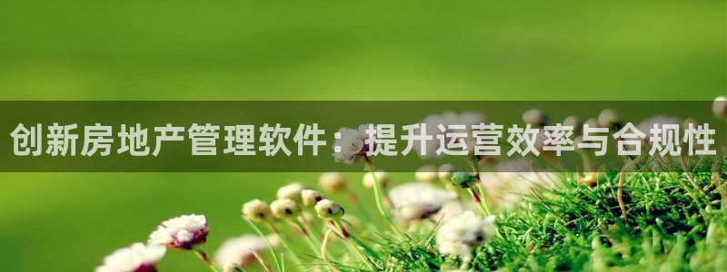 风暴娱乐网：创新房地产管理软件：提升运营效率与合规性