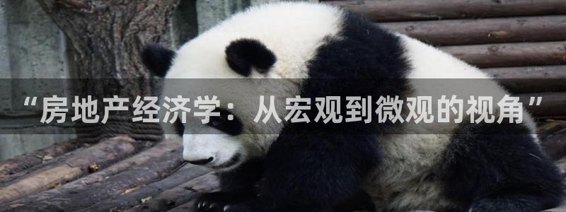 4120051风暴娱乐