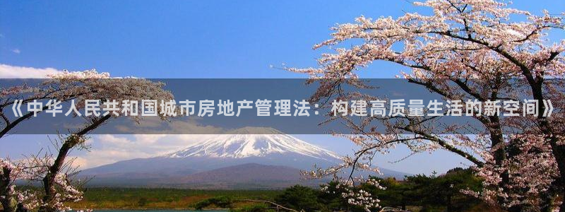 风暴娱乐主管是谁