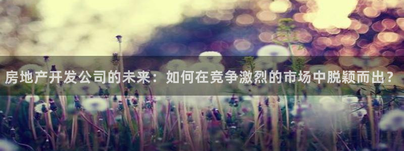 风暴注册娱乐：房地产开发公司的未来：如何在竞争激烈的市场中脱