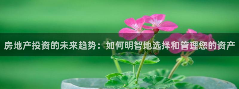 风暴娱乐下5指尖