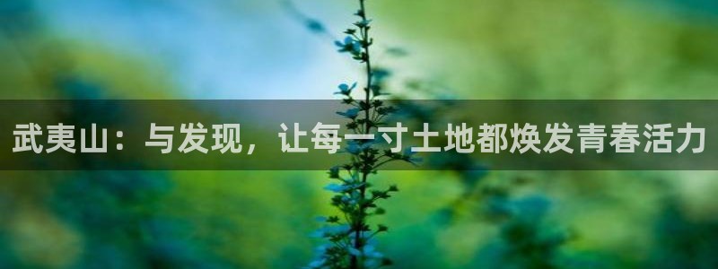 风暴数字娱乐