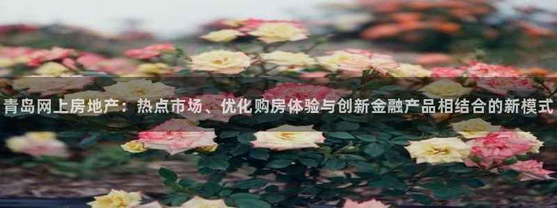 风暴娱乐首页