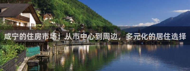 风暴娱乐求333OOa：咸宁的住房市场：从市中心到周边，多元