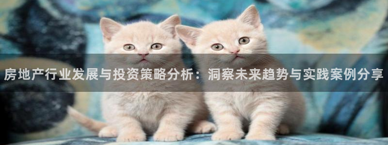 风暴娱乐5O6917：房地产行业发展与投资策略分析：洞察未来