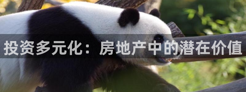 风暴娱乐园：投资多元化：房地产中的潜在价值
