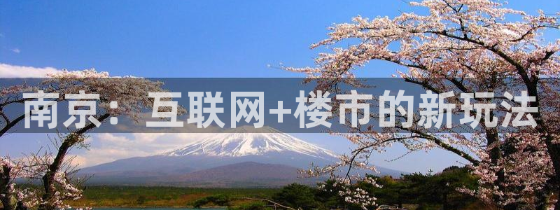 蓝色风暴娱乐：南京：互联网+楼市的新玩法