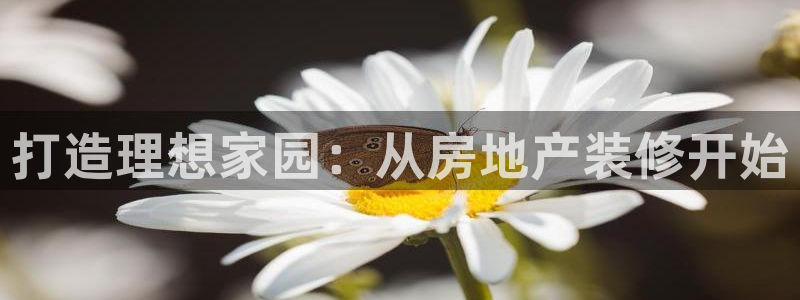 风暴娱乐套路