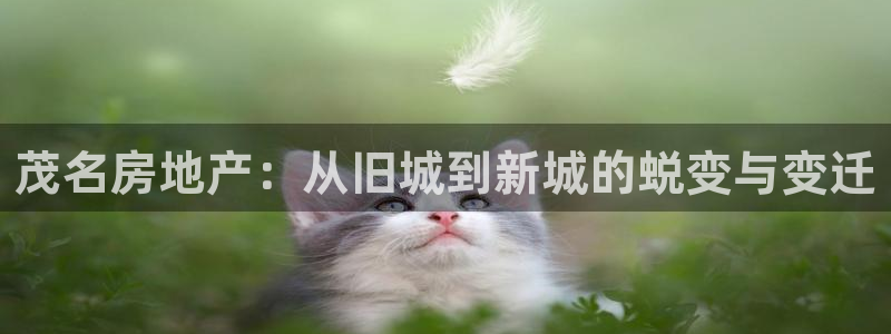 风暴娱乐号