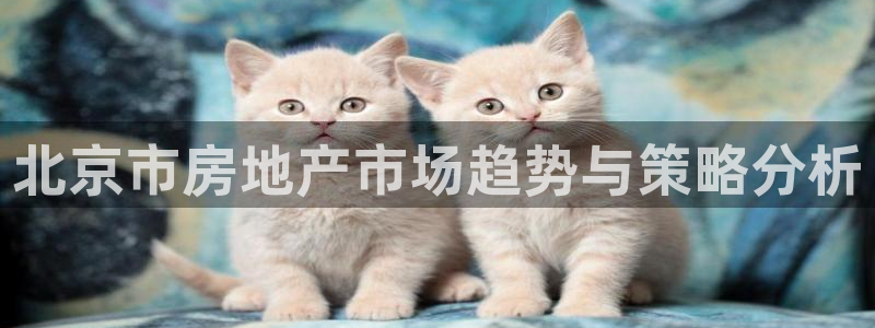 风暴注册娱乐：北京市房地产市场趋势与策略分析