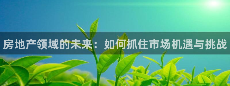 风暴娱乐开户：房地产领域的未来：如何抓住市场机遇与挑战
