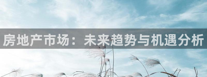风暴娱乐实况：房地产市场：未来趋势与机遇分析