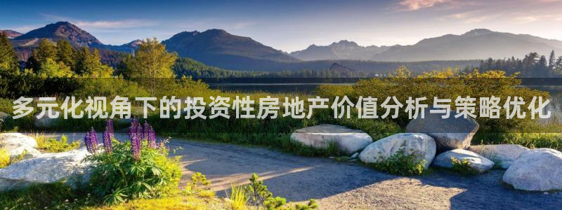 风暴娱乐待遇：多元化视角下的投资性房地产价值分析与策略优化