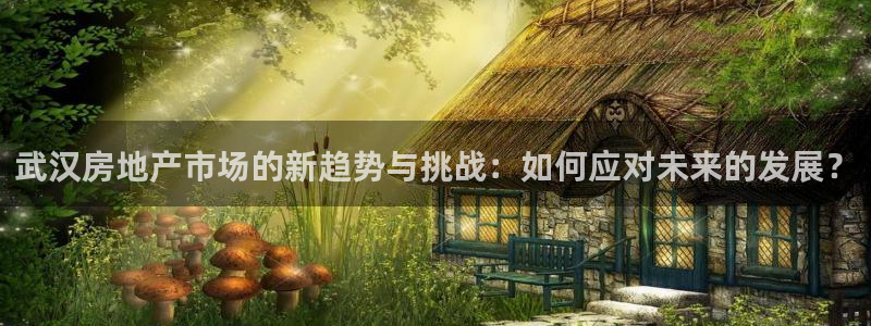 风暴娱乐点：武汉房地产市场的新趋势与挑战：如何应对未来的发展