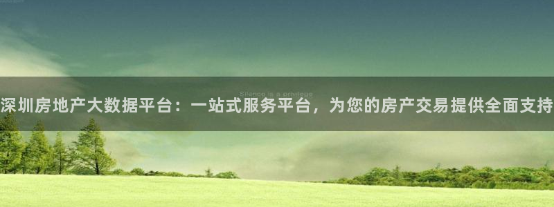 风暴娱乐点：深圳房地产大数据平台：一站式服务平台，为您的房产