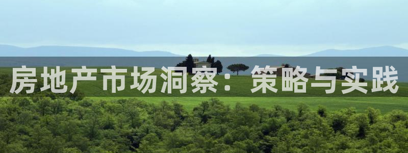 风暴娱乐线路：房地产市场洞察：策略与实践
