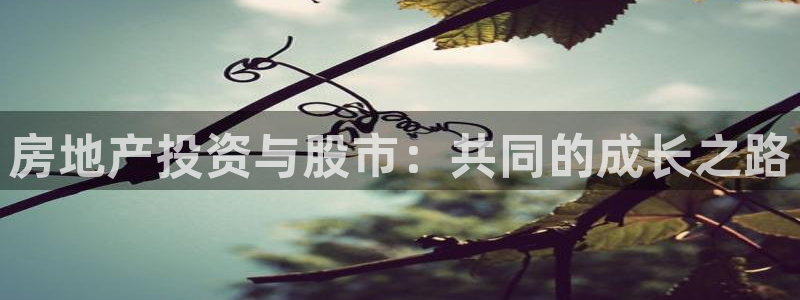 风暴娱乐字图片大全：房地产投资与股市：共同的成长之路