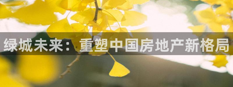 风暴娱乐1：绿城未来：重塑中国房地产新格局