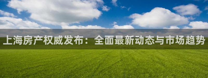 风暴娱乐老板：上海房产权威发布：全面最新动态与市场趋势