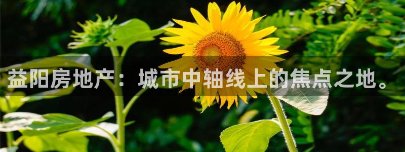 注册风暴娱乐：益阳房地产：城市中轴线上的焦点之地。