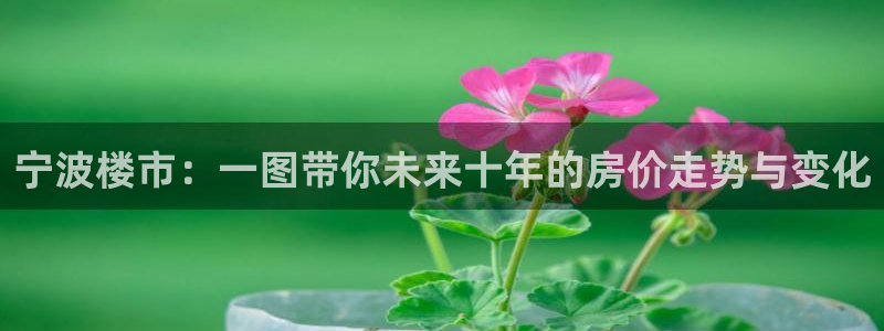 风暴娱乐下5指尖：宁波楼市：一图带你未来十年的房价走势与变化